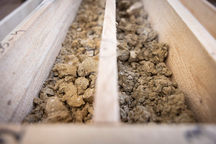 Nahaufnahme von unterschiedlichen Bodenproben Baugrunduntersuchungen von GHB Consult in einem Holzrahmen, die für geologische oder bodenwissenschaftliche Untersuchungen vorbereitet werden.