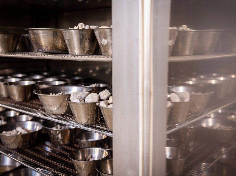 Mehrere Regalböden mit metallischen Schüsseln, Bodenmeschanisches Labor von GHB Consult , die mit kleinen weißen Steinen oder Erzeugnissen gefüllt sind, in einem Schrank oder Lagerregal.